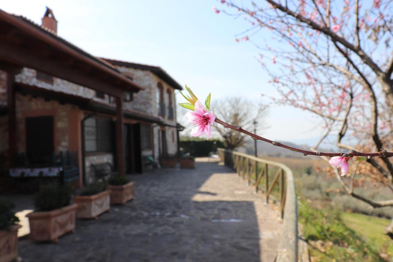 B&B Casale Roshlee Gualdo Cattaneo Kültér fotó